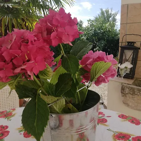 Family House On Private Courtyard In *