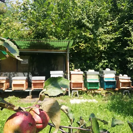 Family House On Private Courtyard In 度假居