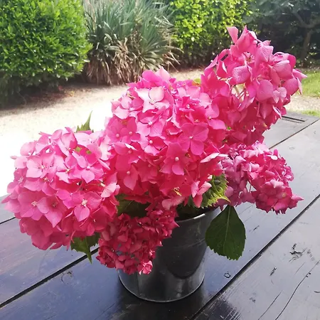 Family House On Private Courtyard In 別荘