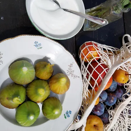 Family House On Private Courtyard In *