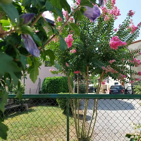 Family House On Private Courtyard In