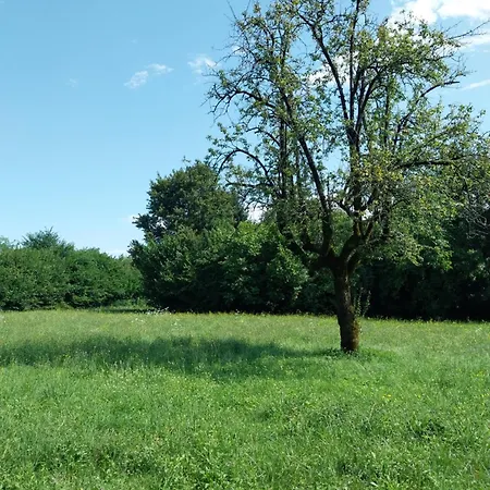 Family House On Private Courtyard In * Fanna