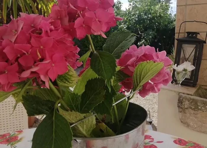 Family House On Private Courtyard In *