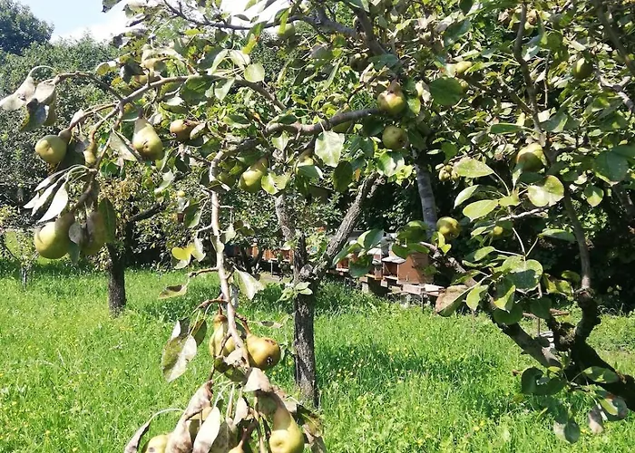 Family House On Private Courtyard In