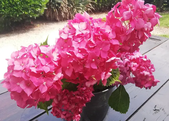 Family House On Private Courtyard In Nyaraló